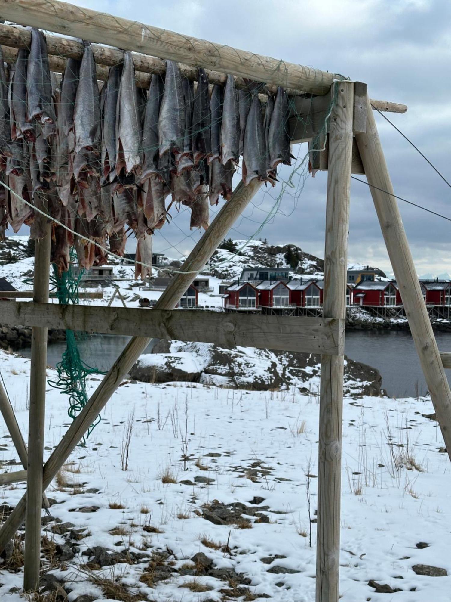 Superior Cabin Ballstad Lofoten Zewnętrze zdjęcie
