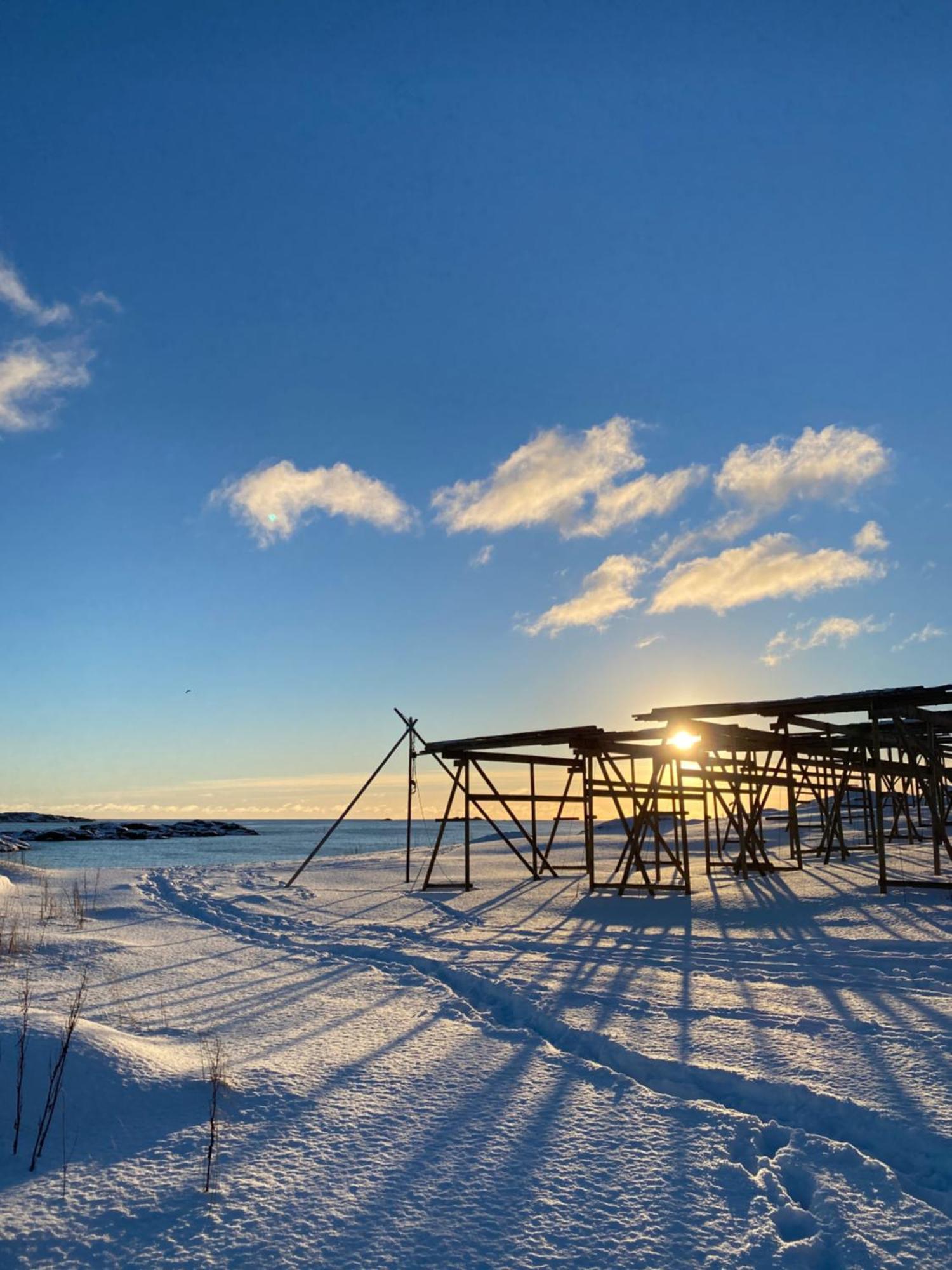 Superior Cabin Ballstad Lofoten Zewnętrze zdjęcie